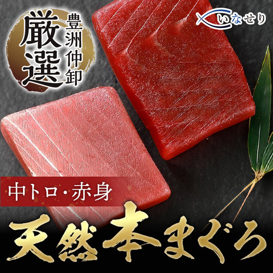 【二種盛】赤身&中トロ 食べ比べセット